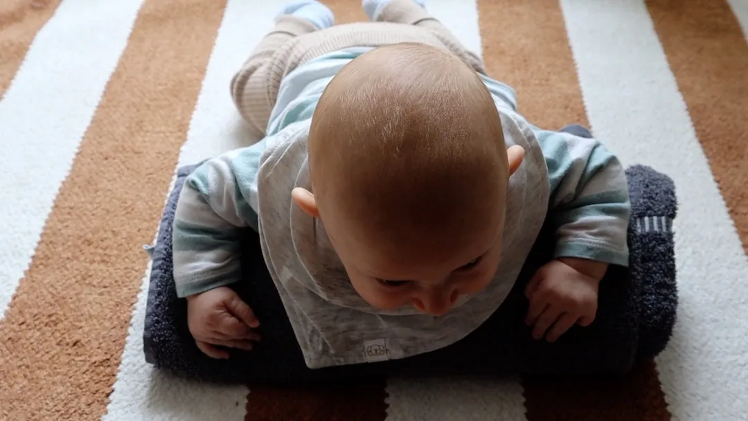 You rest their chest on a rolled-up towel, and from a little higher than the floor, they try lifting their head to look around.