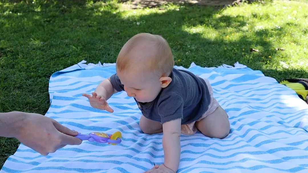 You hold a toy up high so they let go with one hand and stay on all fours, balanced on three points.
