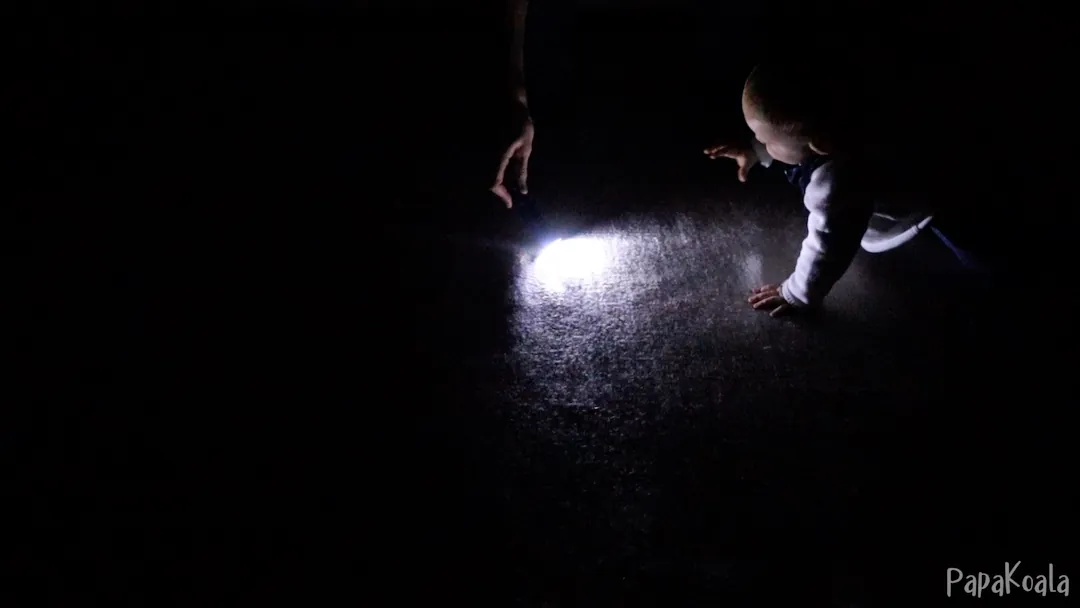 In a dimly lit room, you move a flashlight beam across the wall and they follow the light with their eyes.